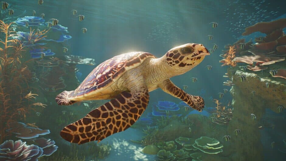 Planet Zoo 2 - Captura 10