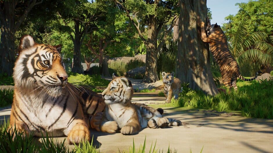 Planet Zoo 2 - Captura 4