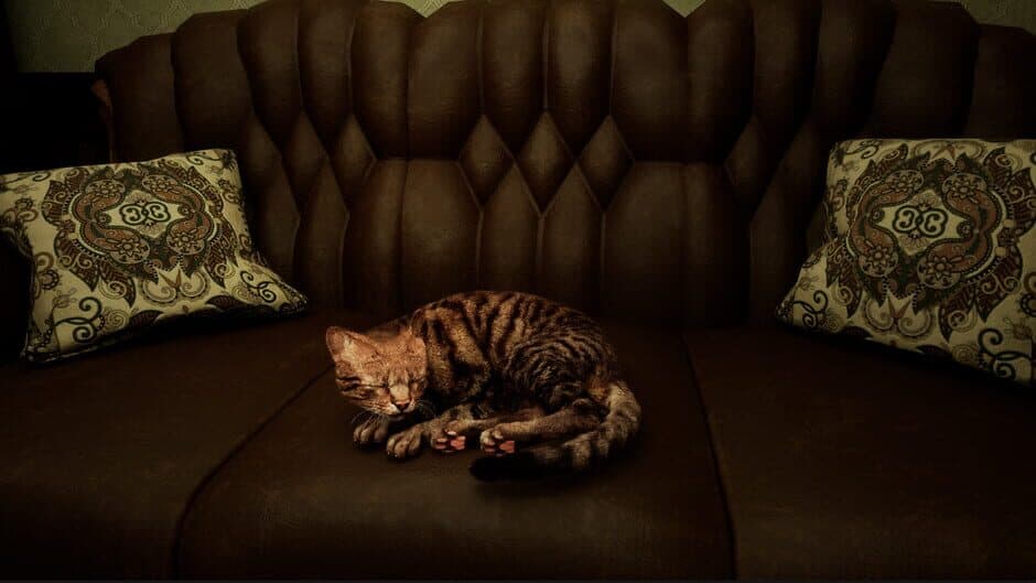 Meowmories - Captura 0