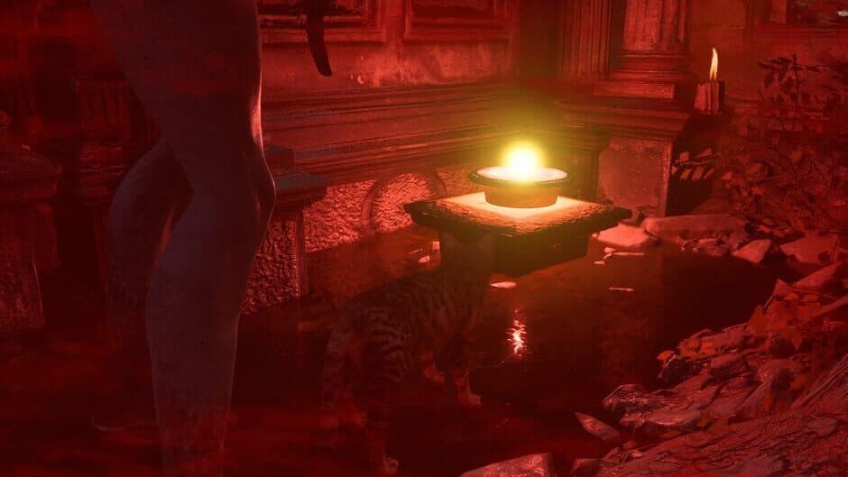 Meowmories - Captura 5