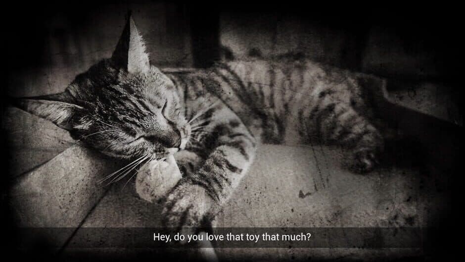 Meowmories - Captura 7