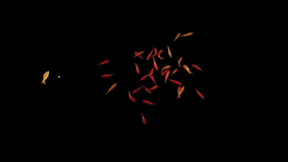 Goldfish Simulator - Captura 2