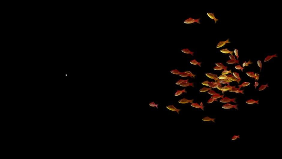 Goldfish Simulator - Captura 1