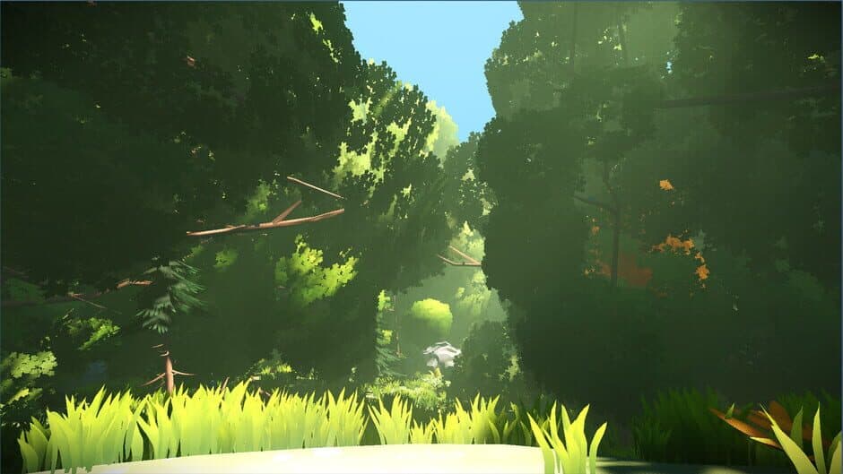 Look to the Birds - Captura 3