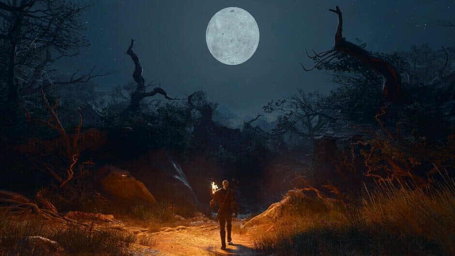 The Witcher 3: Wild Hunt - Songs of the Past - Captura 3