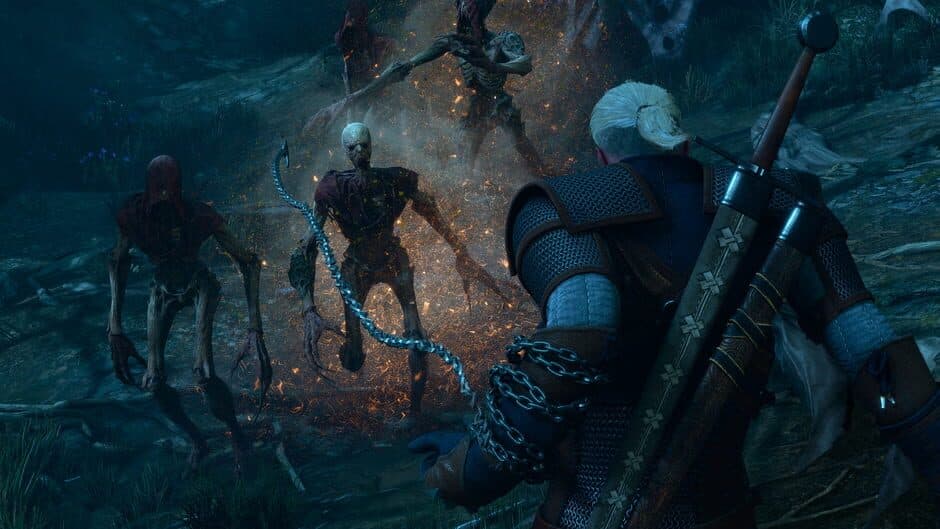 The Witcher 3: Wild Hunt - Songs of the Past - Captura 3