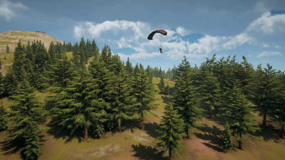 Flight Simulator 2026 Collection - Captura 4