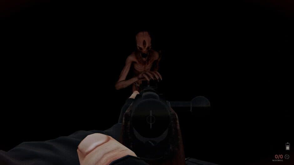 Proyecto Huemul - Captura 4