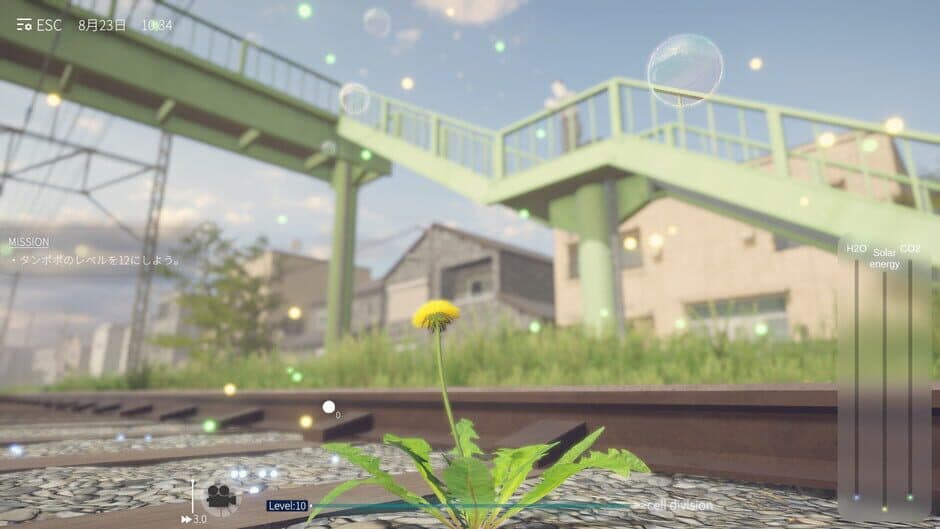 The Dandelion Endures. - Captura 2