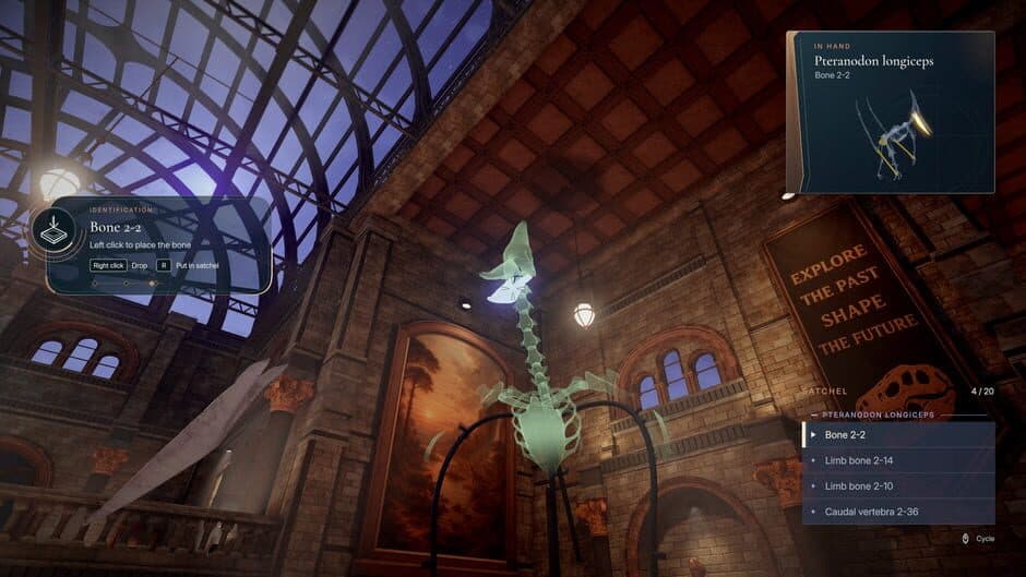 DinoBones: Tidy Up the Museum - Captura 4