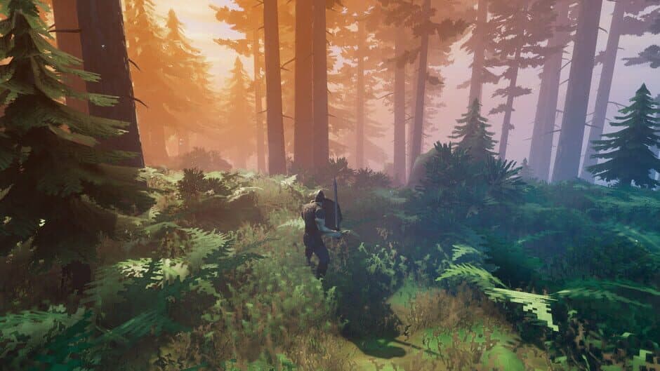 Valheim - Captura 10