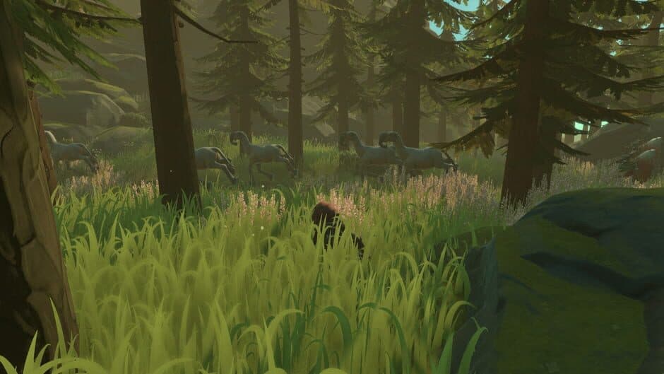 Pine - Captura 7