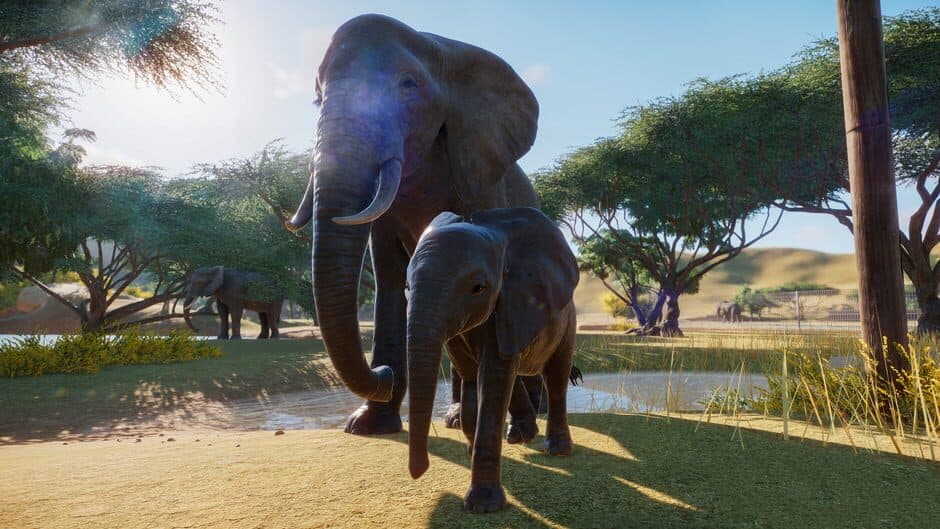 Planet Zoo - Captura 6