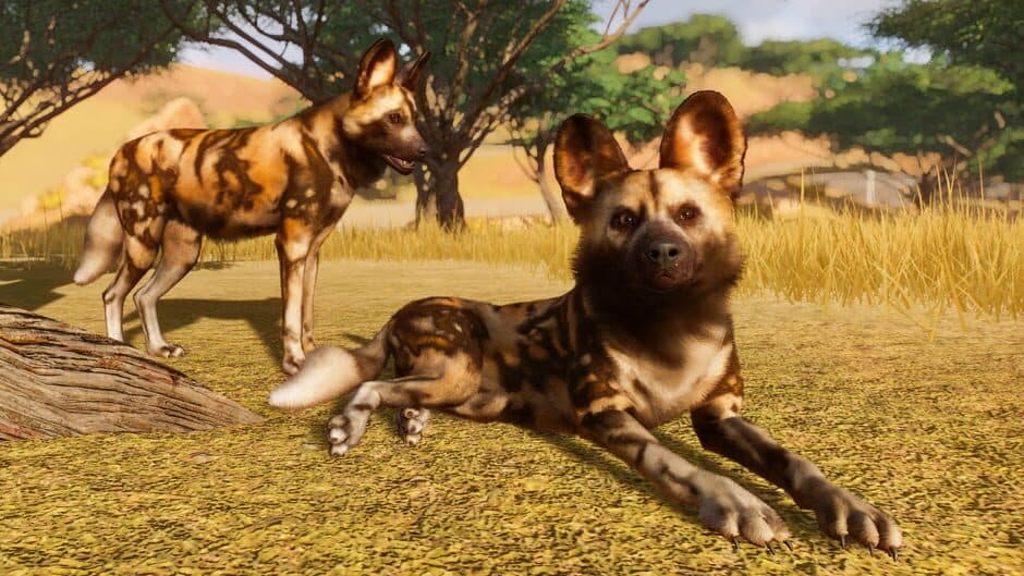 Planet Zoo - Captura 7