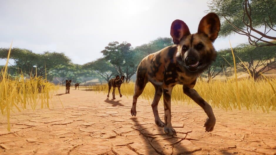 Planet Zoo - Captura 10