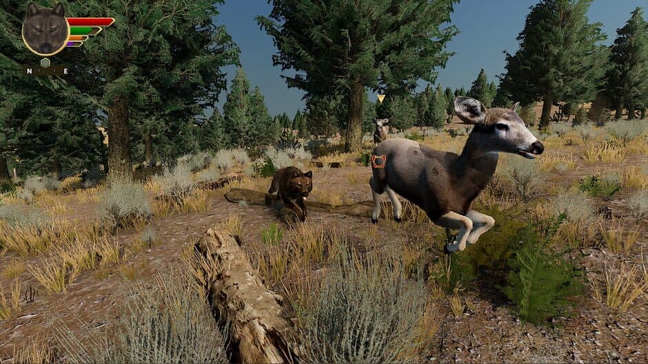 WolfQuest: Anniversary Edition - Captura 4