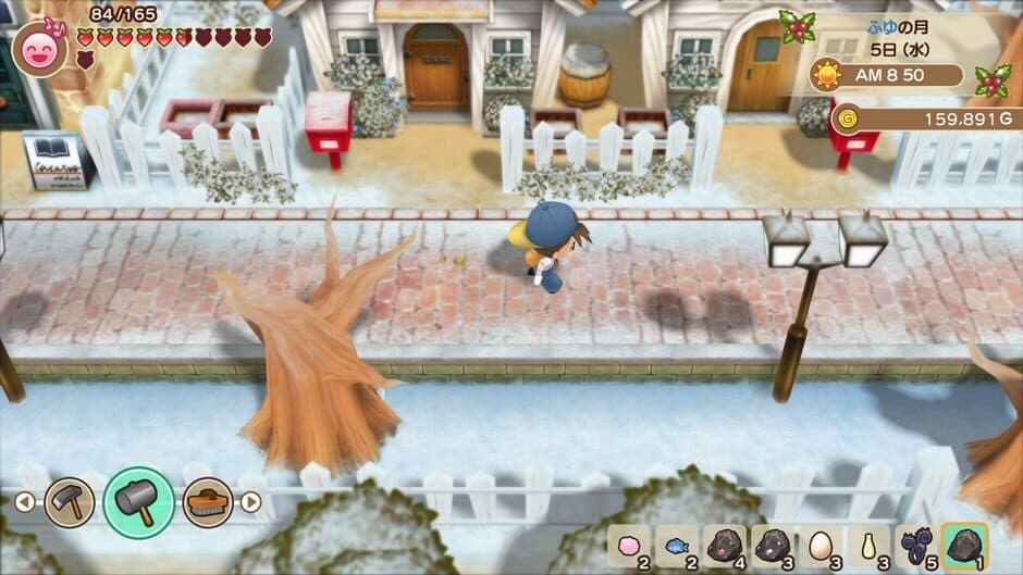 Story of Seasons: Friends of Mineral Town - Captura 13