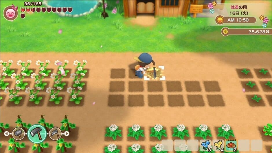 Story of Seasons: Friends of Mineral Town - Captura 6
