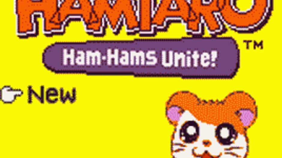 Hamtaro: Ham-Hams Unite! - Captura 4