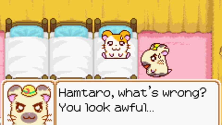 Hamtaro: Ham-Ham Heartbreak - Captura 10