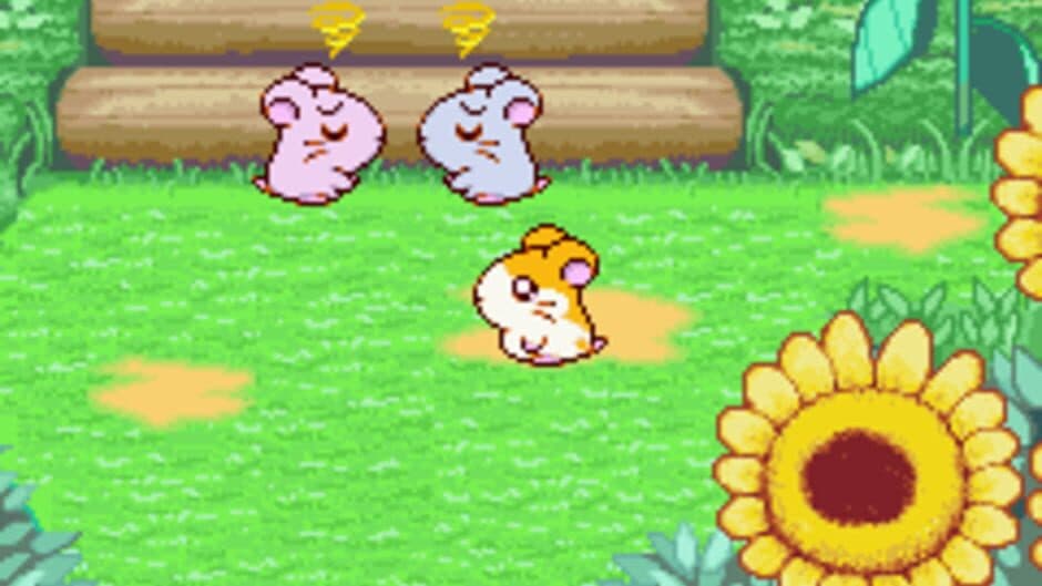 Hamtaro: Ham-Ham Heartbreak - Captura 8