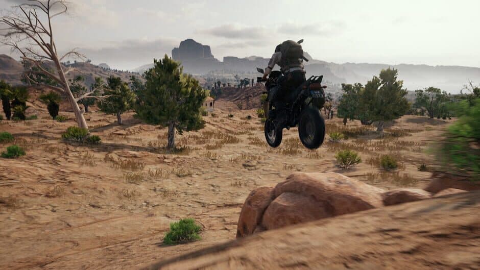 PUBG: Battlegrounds - Captura 15