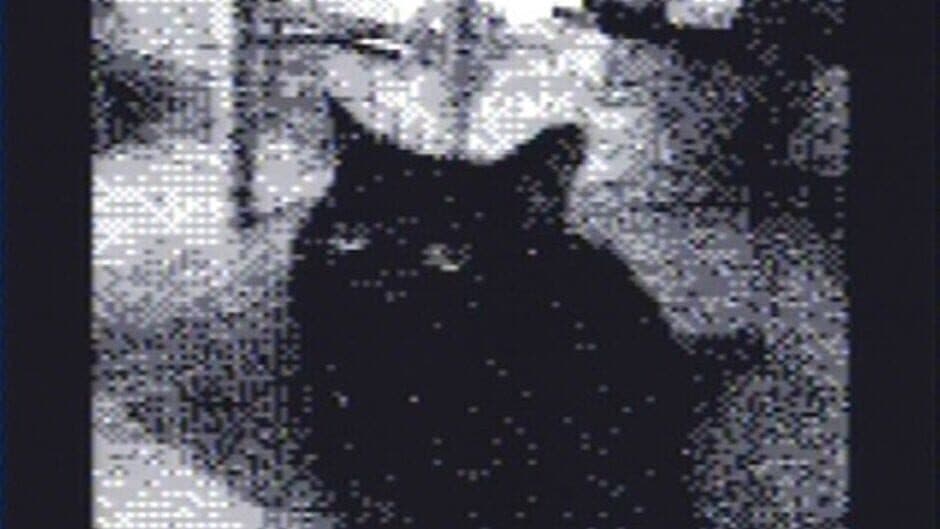 Game Boy Camera - Captura 2