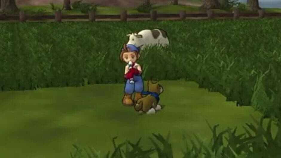 Harvest Moon: Save the Homeland - Captura 5