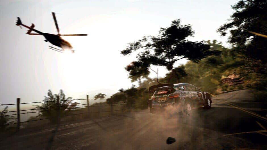 WRC 9 - Captura 6