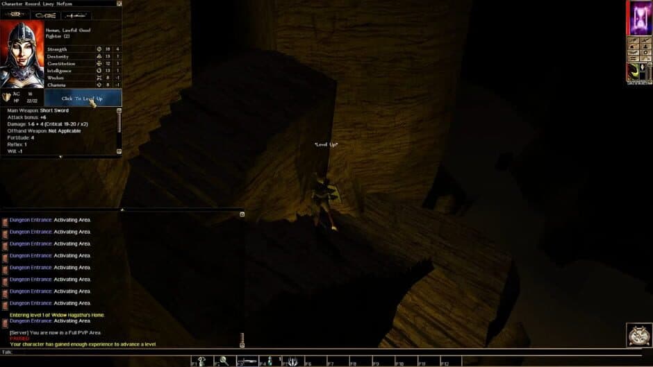 Neverwinter Nights: Infinite Dungeons - Captura 2