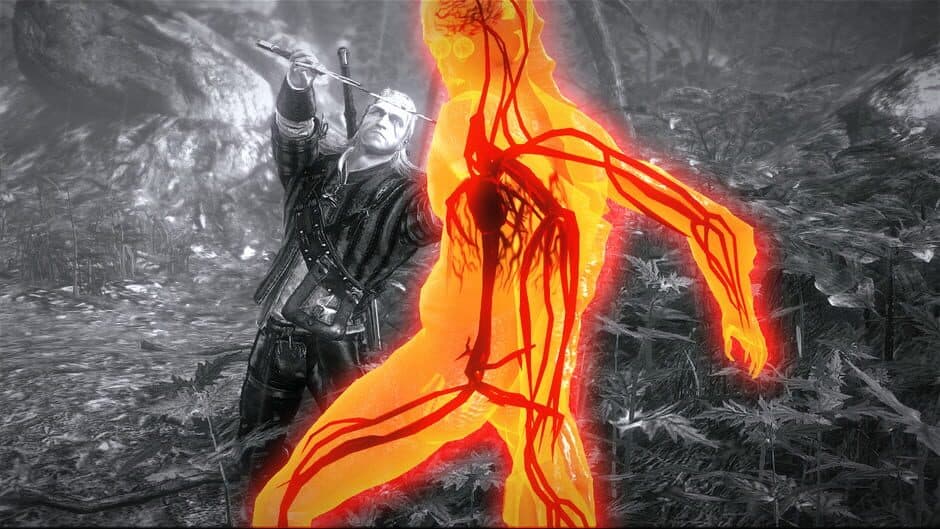 The Witcher 2: Assassins of Kings - Premium Edition - Captura 1
