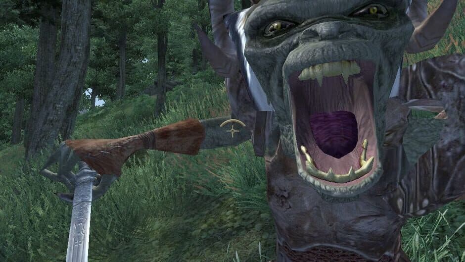 The Elder Scrolls IV: Oblivion 5th Anniversary Edition - Captura 2