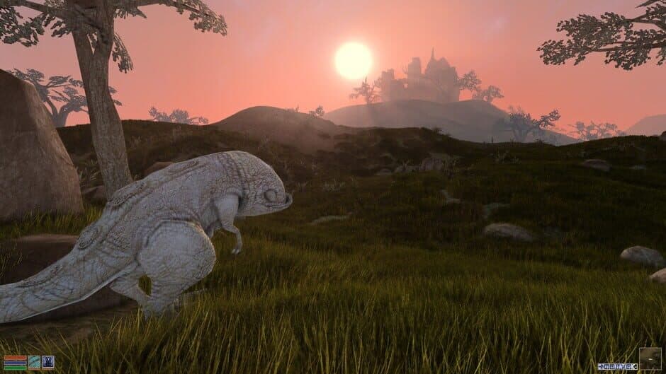The Elder Scrolls III: Morrowind - Captura 7