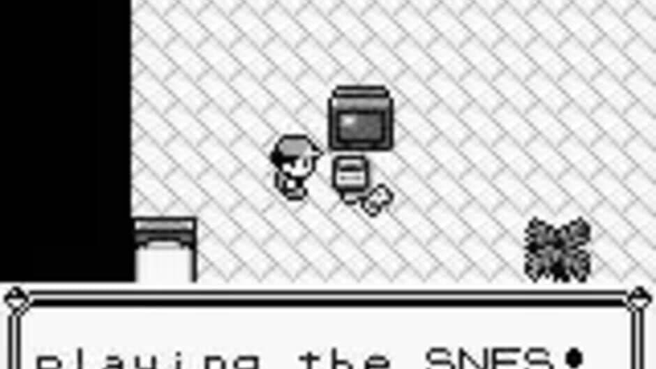 Pokémon Blue Version - Captura 2