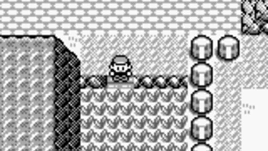 Pokémon Blue Version - Captura 4