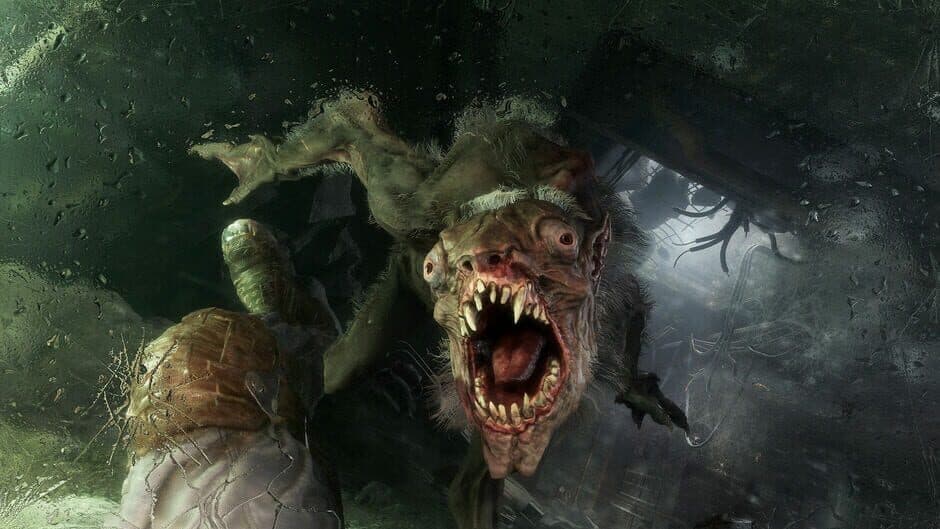 Metro Exodus: Gold Edition - Captura 9