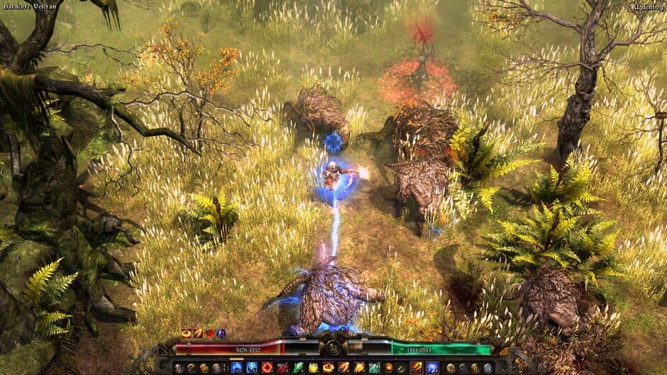 Grim Dawn: Definitive Edition - Captura 3