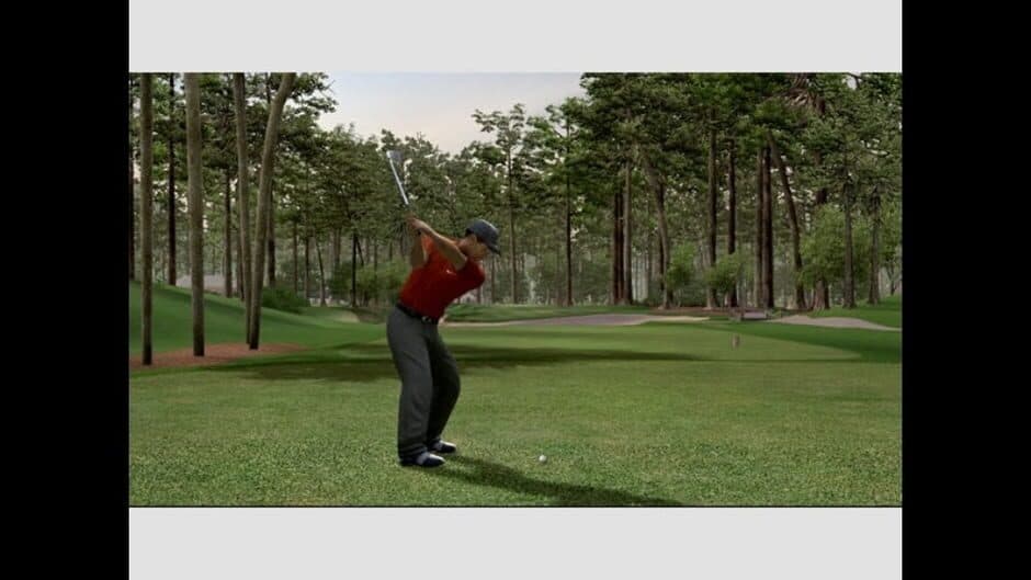 Tiger Woods PGA Tour 06 - Captura 6