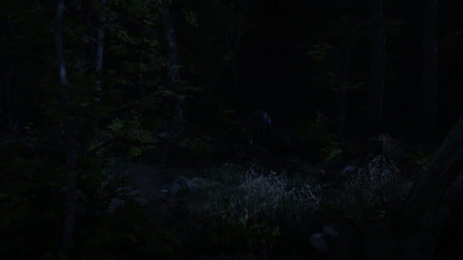 Surrounded - Captura 5