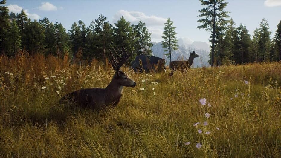 Way of the Hunter - Captura 3