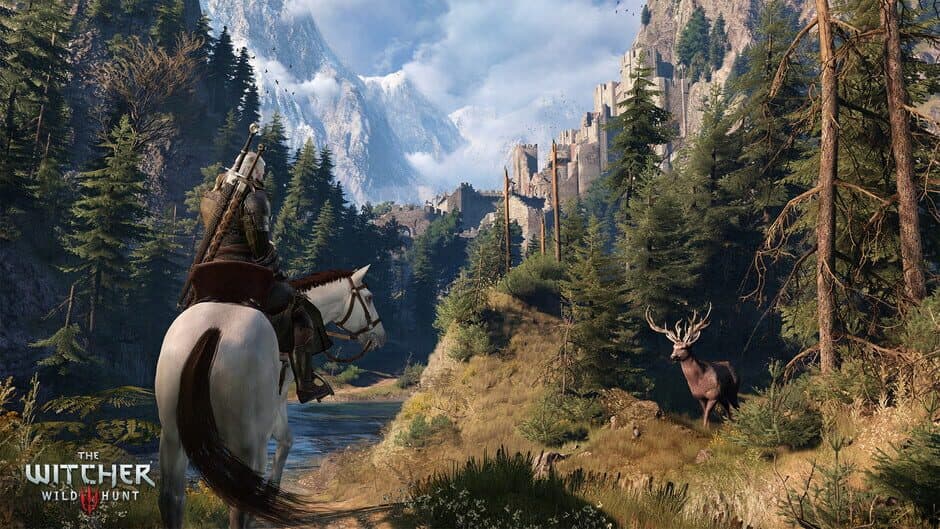 The Witcher 3: Wild Hunt - Captura 20