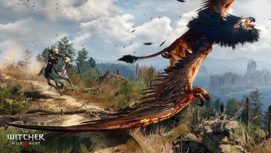 The Witcher 3: Wild Hunt - Captura 21