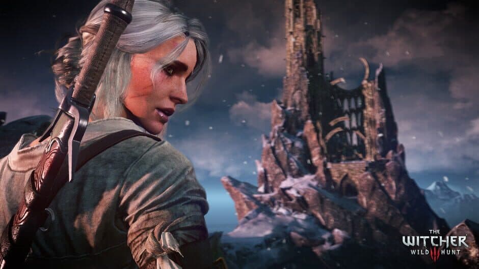 The Witcher 3: Wild Hunt - Captura 26