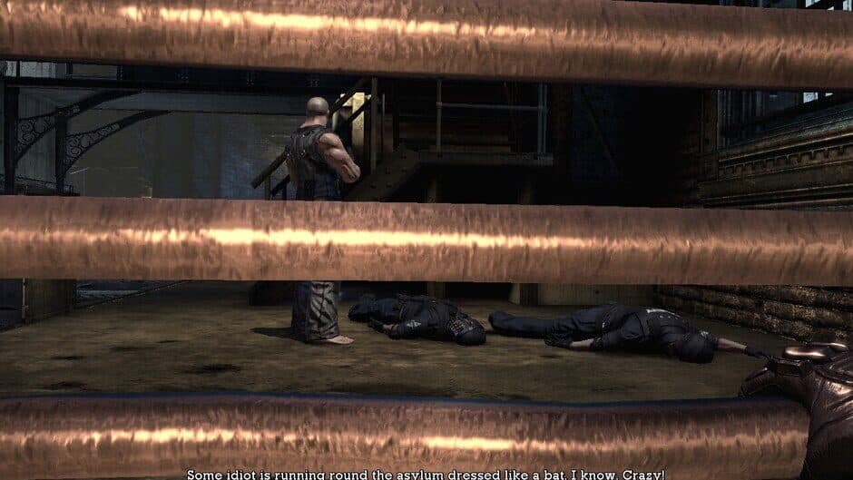 Batman: Arkham Asylum - Game of the Year Edition - Captura 13