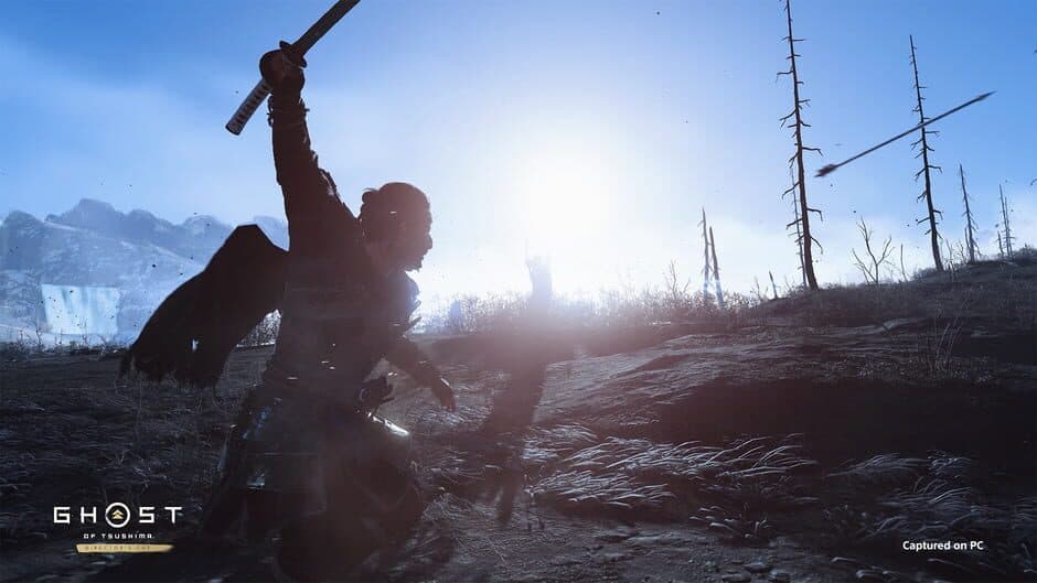 Ghost of Tsushima: Director's Cut - Captura 5