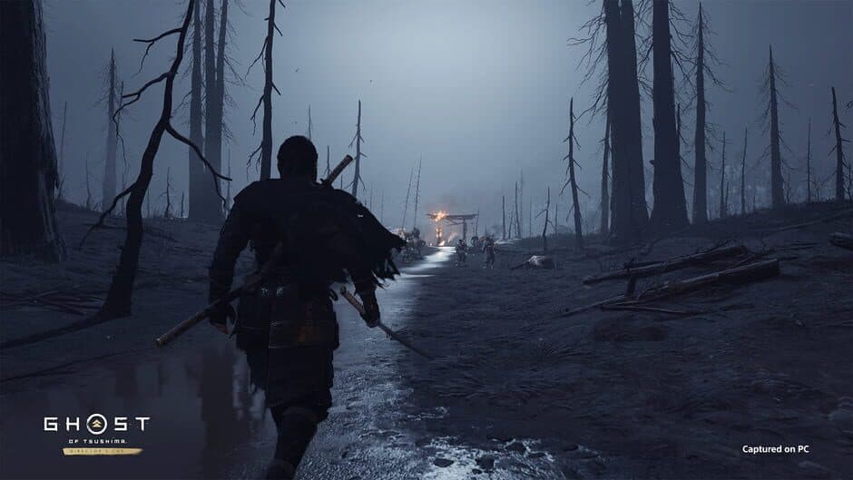 Ghost of Tsushima: Director's Cut - Captura 6