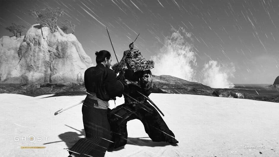 Ghost of Tsushima: Director's Cut - Captura 7