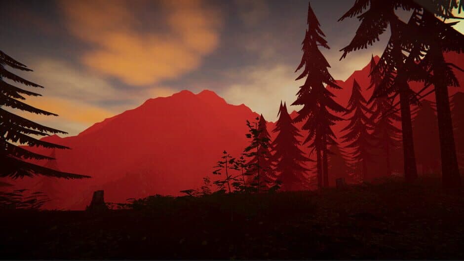 Category 6 - Captura 5