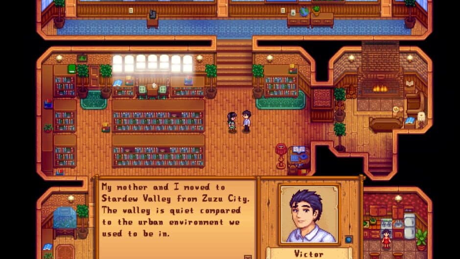 Stardew Valley Expanded - Captura 5