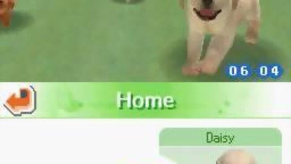 Nintendogs: Chihuahua & Friends - Captura 0